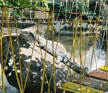 Vastare House | Nature Stay - Private Water Stream and a Pool