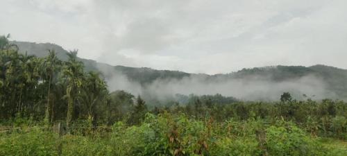 Vastare House | Nature Stay - Private Water Stream and a Pool