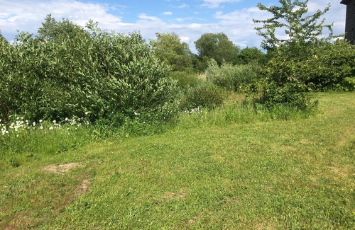 Ahrensbok Apartment | Naturnahes Gästezimmer mit Küche in Ostseenähe
