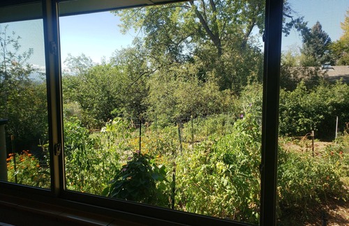 Harvey Park House | Near-net-zero home with views, lake, pickleball & basketball courts, playground