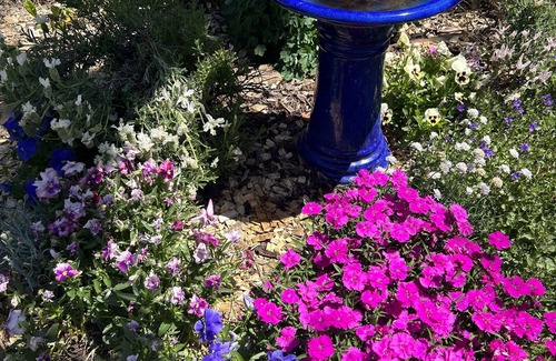 Katoomba Cottage | Nellie’s Cottage - delightful boutique mountains cottage