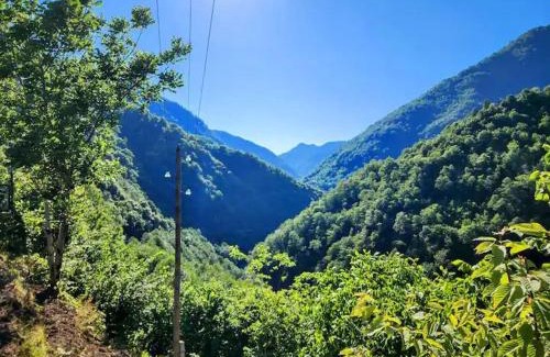 Khelvachauri Ski Chalet | Nepoka in Machakhela
