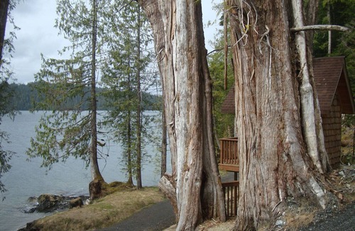 Ketchikan House | Nestled At the Top of two famous Totem pole ParksnEnjoyable, comfortable house