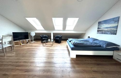 Seengen Apartment | Neue Einzimmer Dachwohnung