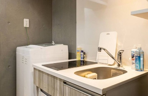 Sumida Apartment | New apartment 302 6 minutes walk from Ryogoku st/Sumida-ku Tokyo