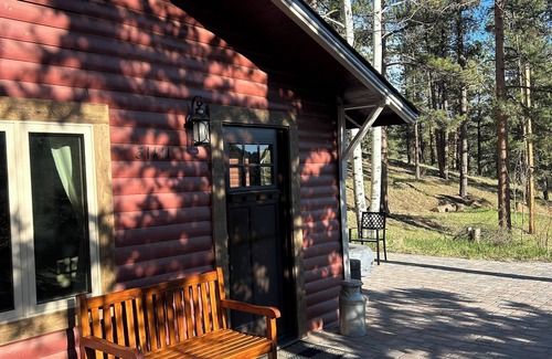 Conifer Cabin | New! Aspen turning! 1 hr from DIA! Gas firepit & Wifi