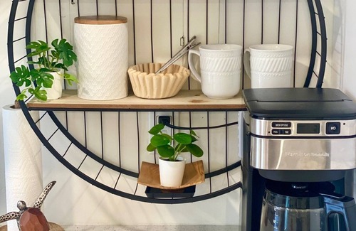 Dunedin House | NEW - Beachy Vibes & Golf Cart Rides in the Heart of Dunedin!