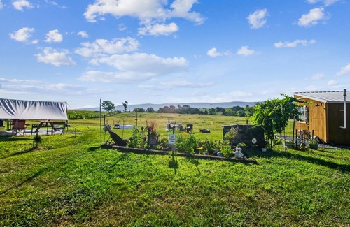 Mount Jackson Cabin | NEW! Cozy Tiny Home Retreat on Shenandoah Valley Farm