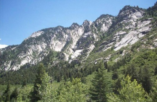 East Central Apartment | New Distinctive Historical Unit from 5 Star Host