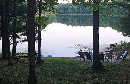 Birchwood Cabin | New! Douglas Lakeside Retreat- Paddleboards, kayaks & canoe! Pet Friendly!