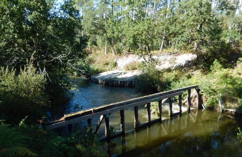 Vielle-Saint-Girons House | New house facing the forest, 1 km from lake, 5 km ocean, 2 km nature reserve