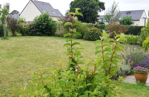 Beaussais-sur-Mer House | NEW LIGHT HOUSE NEAR SHOPS 3 KM BEACHES NEAR ST MALO DINAN