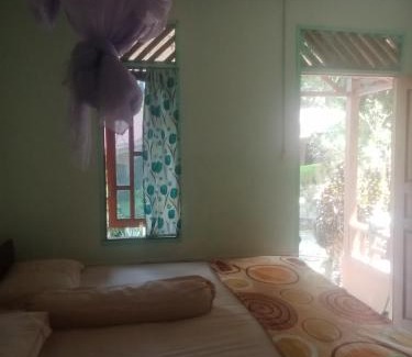 Sei Pinang Other | New orchid