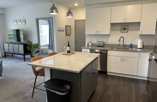 Tuttle West Apartment | NEW: The C-Suite - Lux Dublin King w/Home Office