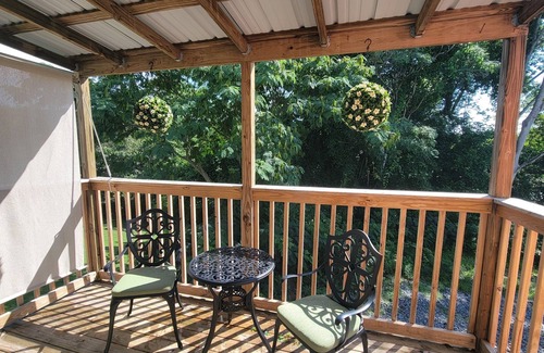 Dandridge Apartment | Newly Renovated Studio