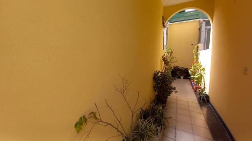 Caballito Apartment | Nice Apart en Caballito. Visitá Buenos Aires