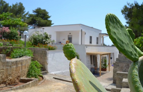 Torre Vado Apartment | Nice apartment for 8 guests with A/C, TV, terrace, pets allowed and parking