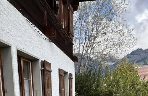 Zweisimmen Apartment | Nice apartment for 4 people with WIFI, TV, balcony, pets allowed and parking