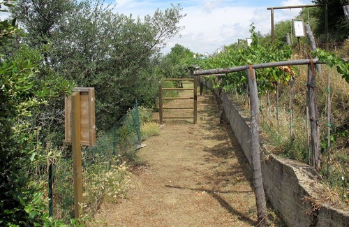 Paciano Villa | Nice apartment in villa for 6 guests with WIFI, pool, TV, terrace and pets allowed