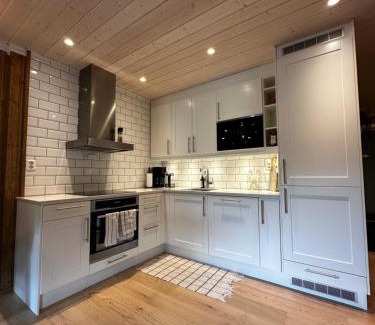 Geilo Apartment | Nice apartment on Geilotunet, Close to city center