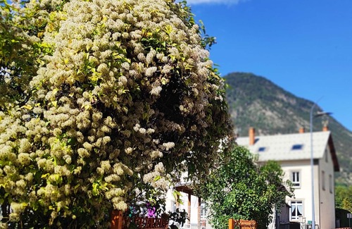 LʼArgentiere-la-Bessee Apartment | Nice little apartment under the roof of a former school