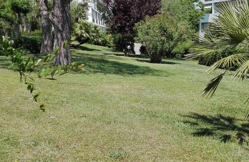 Plaine de la Brague Apartment | Nice studio. Beautiful location. Nearby sea. Private parking. Swim.Pool. Tennis