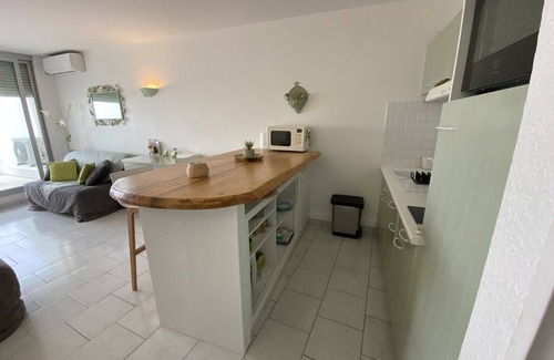 Le Couchant Apartment | Nice studio with sea view terrace and parking - near the beach