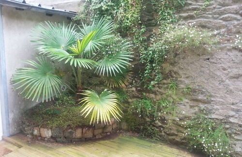 Saint-Marc Apartment | Nice studio with terrace, downtown Brest