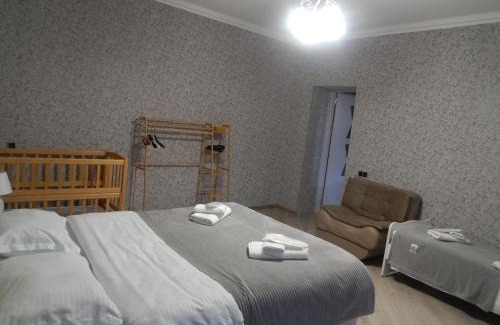 Borjomi Apartment | Nicola House in Borjomi