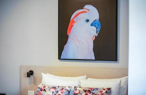 Fairy Meadow Hotel | Nightcap at the Charles Hotel