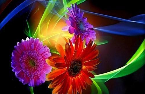 Melgar House | Nirvana Casa de Huéspedes