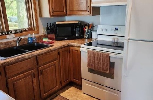 Wautoma Cabin | No steps to the lake/sandy beach/free nite w/wknd offseason/amazing sunsets