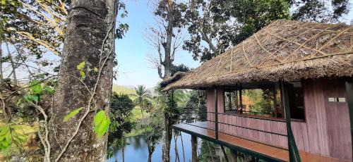 Pirmed House | Noah's Nest Tree House