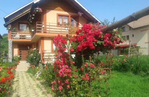 Capatineni-Ungureni House | Nopti de Vara Transfăgărășan