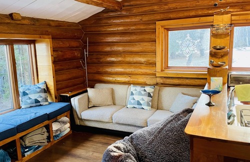 Schroeder Cabin | North Shore Tiny Log Cabin Retreat