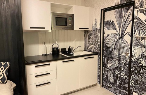 Chasseneuil-du-Poitou Apartment | Nouveau Studio Oasis