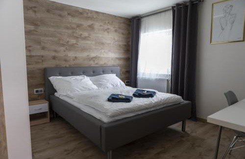 Ceske Budejovice House | Novohradská