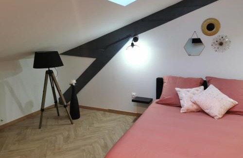 Macon Apartment | Nuit Tendance Mâcon - Chambre cosy centre ville E