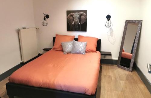 Macon Apartment | Nuit Tendance Mâcon - Chambre cosy centre ville E