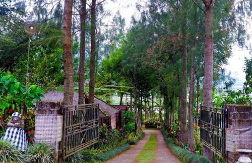 Wanagiri Hotel | Oak Tree Bali