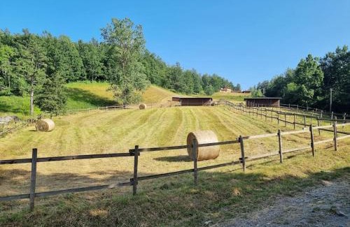 Compiano Apartment | Oasi di pace nella Val di Taro