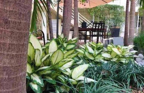 Allapattah Apartment | Oasis-10, 1Bedroom Apt Midtown, Miami Design District & Wynwood