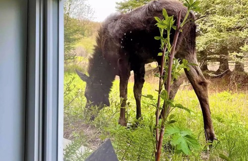 Kachemak House | Ocean and Mountain views, 10 minutes to the Spit