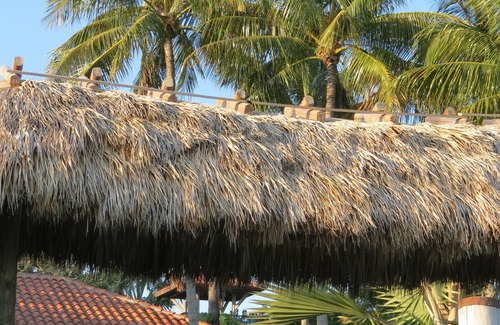 Key Biscayne Condo | Ocean Breeze 1 BR Condo Key Biscayne, Florida