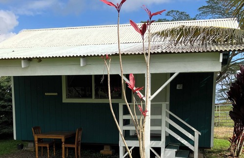 Mountain View Cabin | Ocean view! Pa’ani Ranch cabins in Mountain View Hawaii Cowboy Paniolo style