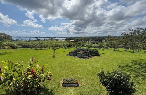 Wainaku Apartment | Oceanview spacious 1-bdrm apartment w/AC, 2 miles to downtown on country acreage