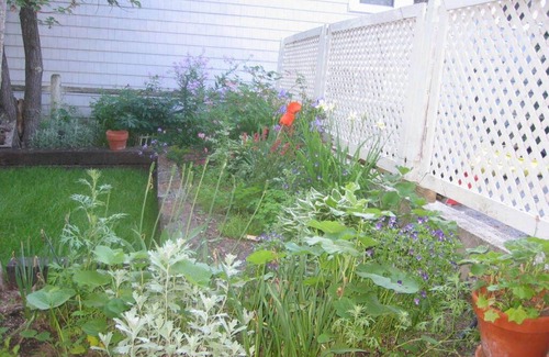 Old Orchard Beach Cottage | Oceanview with Large Deck, Historic Cottage