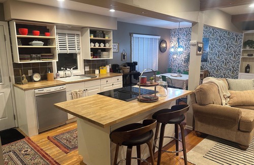 St. Anthony House | Ode to Minnesota, stylish and cozy 3 bedroom house