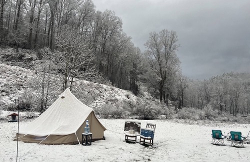 Bryson City RV Rental | Off grid Bell Tent Full size Bed & Solar powered.