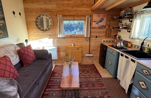 Warner Springs Cabin | Off Grid Petfriendly sanctuary surrounded by ancient oaks with fenced yard.